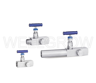 Gauge Valves