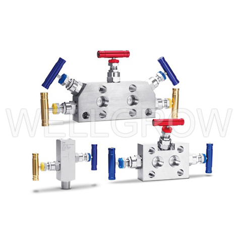 Valve Manifolds