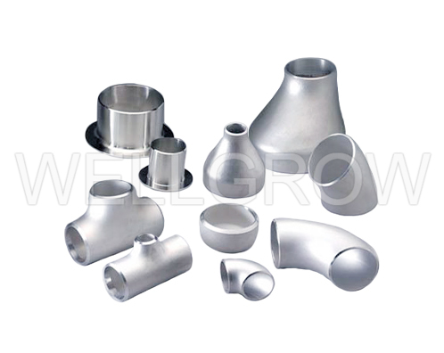 Best Choice of Pipe Fittings, Steel Fittings and Stainless Fittings   Wellgrow Industries Corp - Reliable Stainless Steel Pipes Fittings  Manufacturers